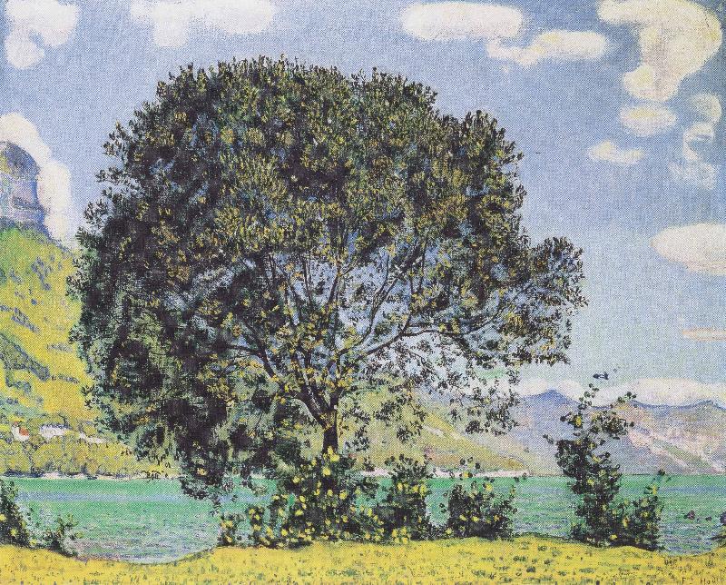 Ferdinand Hodler Baum am Brienzersee vom Bodeli aus Germany oil painting art